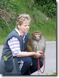 Kokinek na proch�zce