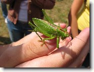 Bl�zk� setk�n�...