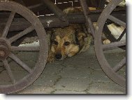 Odpo�inek po od�d�..