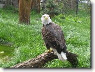 jsem p��snej, bacha na m�