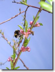 spole�n� hostina