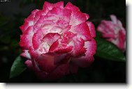 V�echno nejlep��