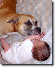 Ares ochr�nce :-)