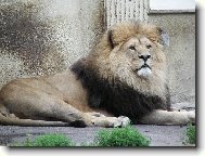 Ohodno�te pros�m!!