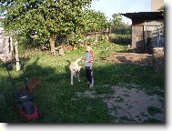 Sam��ek