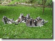 Poledn� odpo�inek