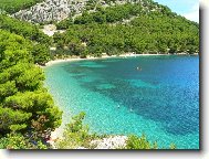 Z�toka sn�