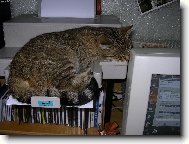 Ne! Te� se tisknout nebude!