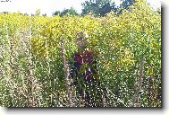 Boj ve vysok� tr�v� ;o)