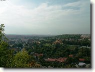 R��ov� kr�ska