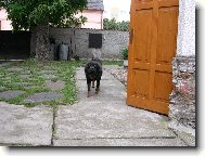 Protahov�n�
