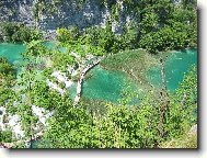 n�v�t�vn�ci...