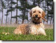 ... a zase ten Mat�j