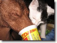 Jogurt�k, to je na�e