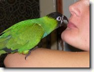 J� a m�j mil��ek