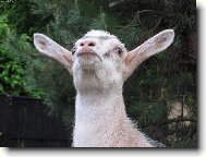 Hm hm, jak se tak d�v�m, dnes pr�et nebude