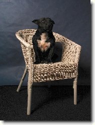 R��enka modelkou