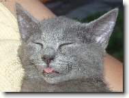 Kdy� Mat�sek sp�