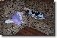 Po ob�d�