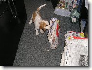 To je ale t�k�..