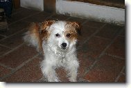 Ta�a je nalezenec, ale s noblesou