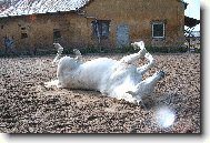 Terezka a jej� nej �inost