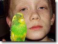 nekoukej tak na m�