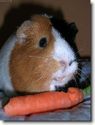 Nena�ran� Mikky:)