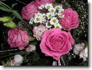 kytice k narozenin�m