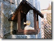 Kdo je to v krm�tku?