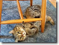 Poj� budeme si hr�t..