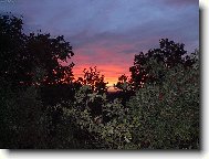 V�ude dob�e - ale doma je doma