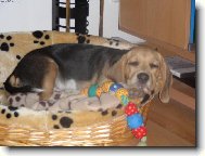 Spink�m!!