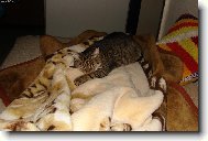 Sladk� odpo�inek