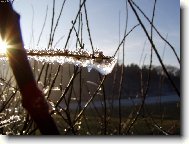 Ledov� obejmut�......