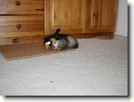 Jen po�kej, j� ti uk�u