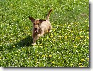 J� si jen tak l�t�m.....................