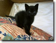 malinkej �edrt��ek