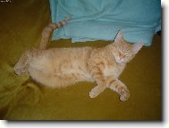 Jedna z m�ch obl�ben�ch poloh