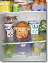 �ivo�ich v lednici