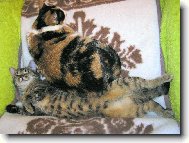 Jauvajs...posu� se kousek...!