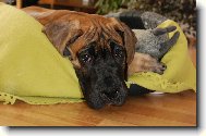 Nech m� sp�t