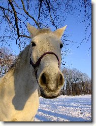 trochu zv�dav�j��...