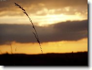 Rovnov�ha............