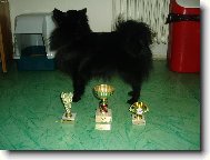 Fanny a jej� piln� vyd�lan� poh�rky