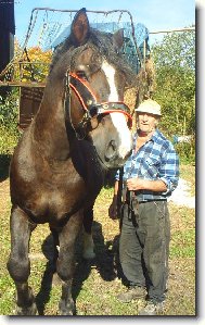 D�da a jeho �ivot