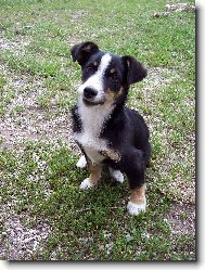 Vezme� si m� :o)