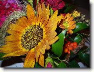 kyti�ka k narozenin�m :)