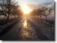 Jedno povod�ov� odpoledne