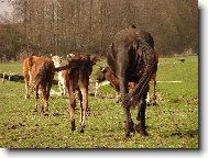 spole�n� t�hnem sv�tem...